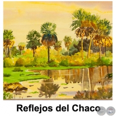 Reflejos del Chaco - Obra de Emili Aparici